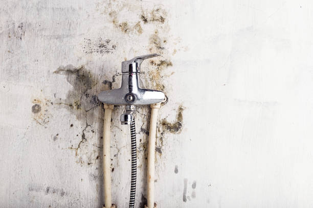 Best Commercial Mold Removal  in Groesbeck, OH