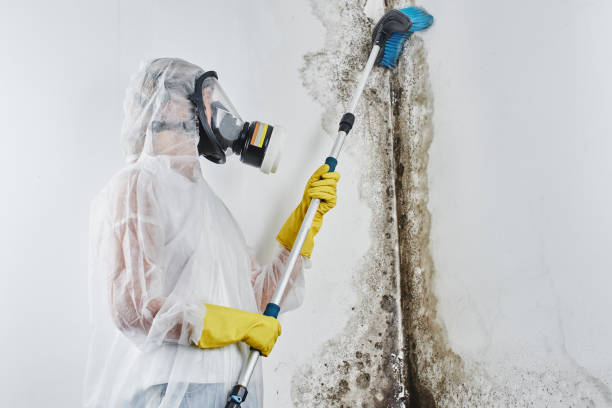 Best Mold Testing  in Groesbeck, OH