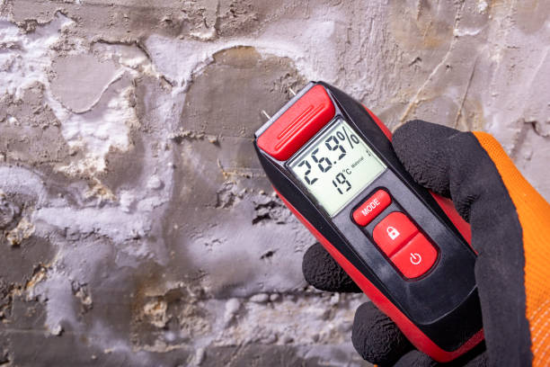 Best Mold Removal Company Near Me  in Groesbeck, OH